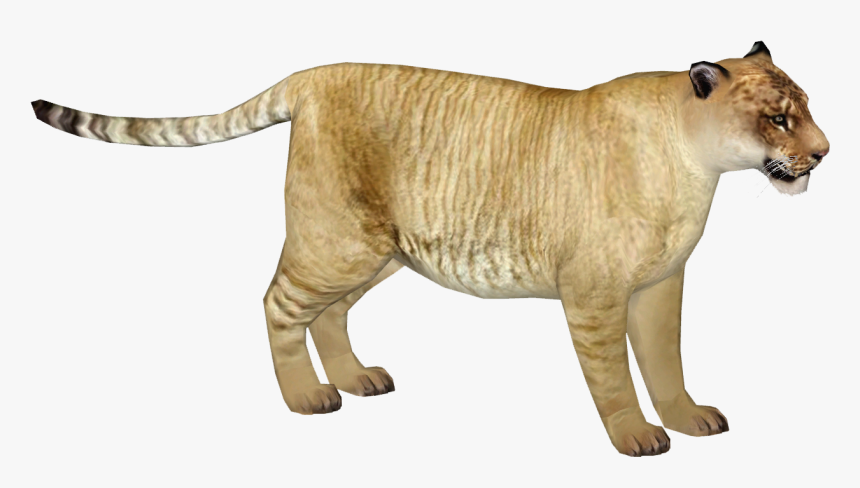 Liger Png, Transparent Png, Free Download