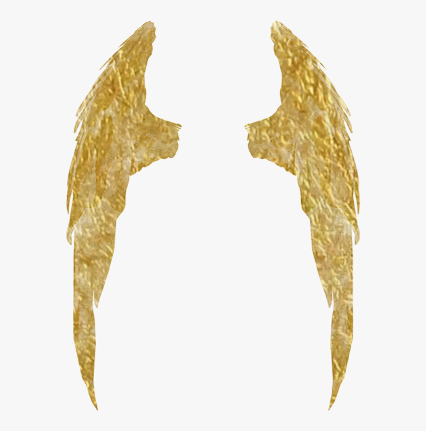 #sticker Of My #golden #wings - Fish, HD Png Download, Free Download