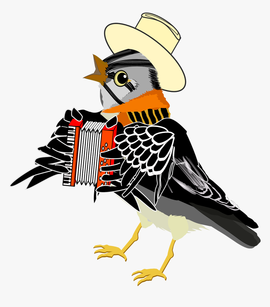 Accordion Bird, HD Png Download, Free Download