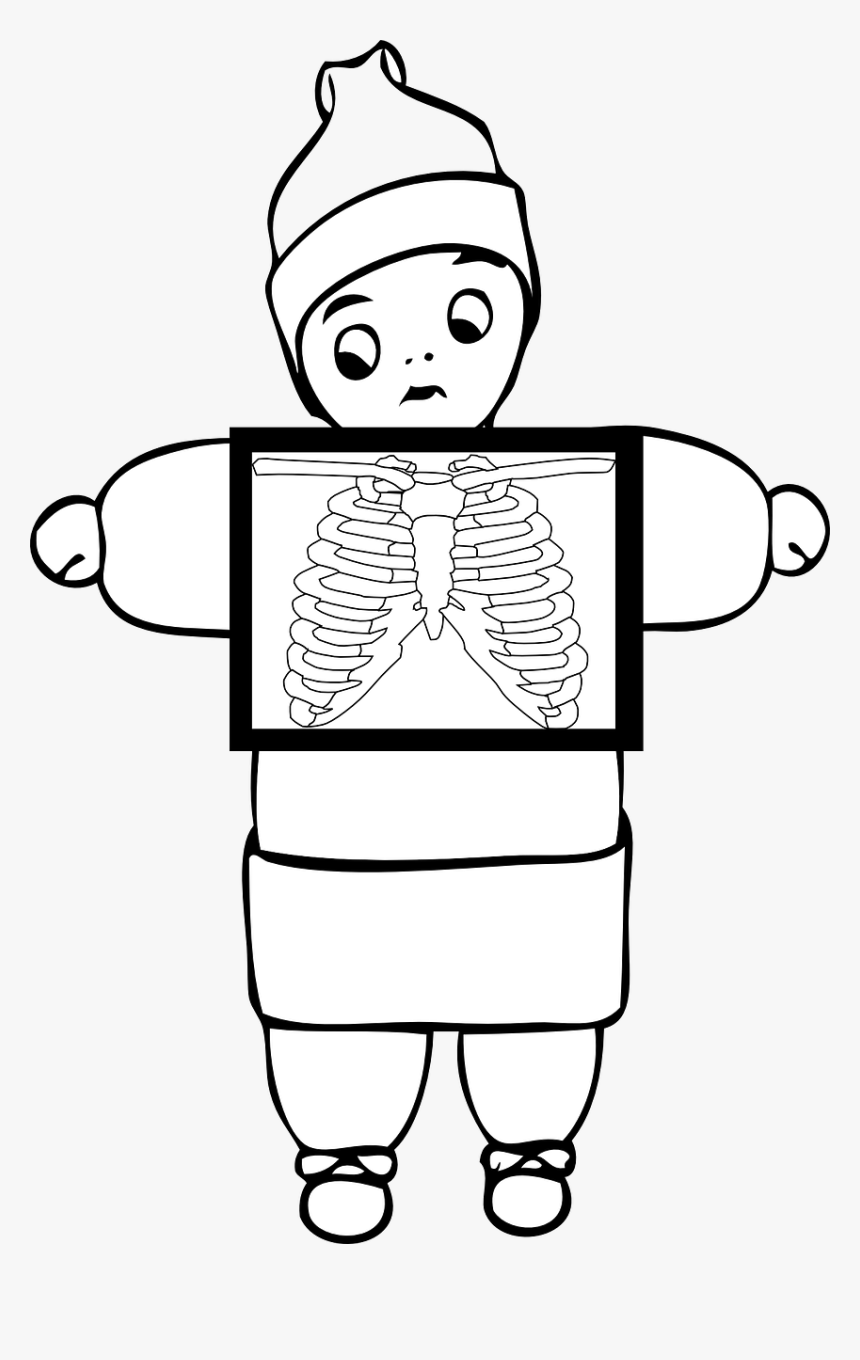 Xray, Chest, Ribcage, Torso, Stay Puft Marshmellow - Outline Of X Ray, HD Png Download, Free Download