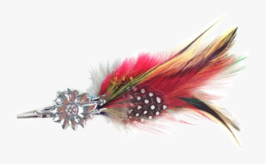 Edelweiss Hat Pin W/ Colorful Feather - Human Action, HD Png Download, Free Download