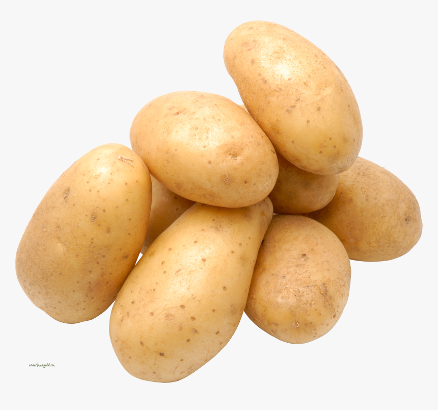 Potato Images Png, Transparent Png, Free Download