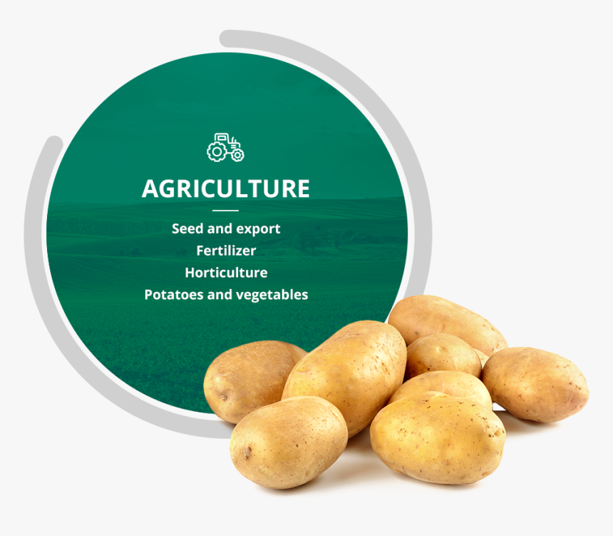 Russet Burbank Potato, HD Png Download, Free Download