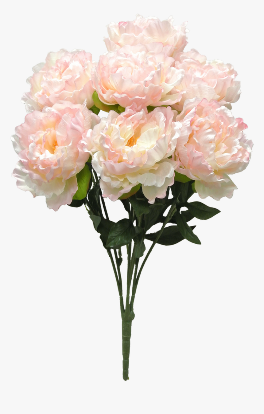 22 - Garden Roses, HD Png Download, Free Download