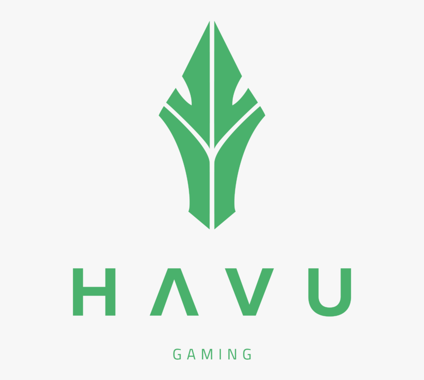 Havu Cs Go, HD Png Download, Free Download