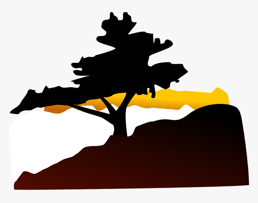 Clipart Of Cedar And African Landscape - Illustration, HD Png Download, Free Download