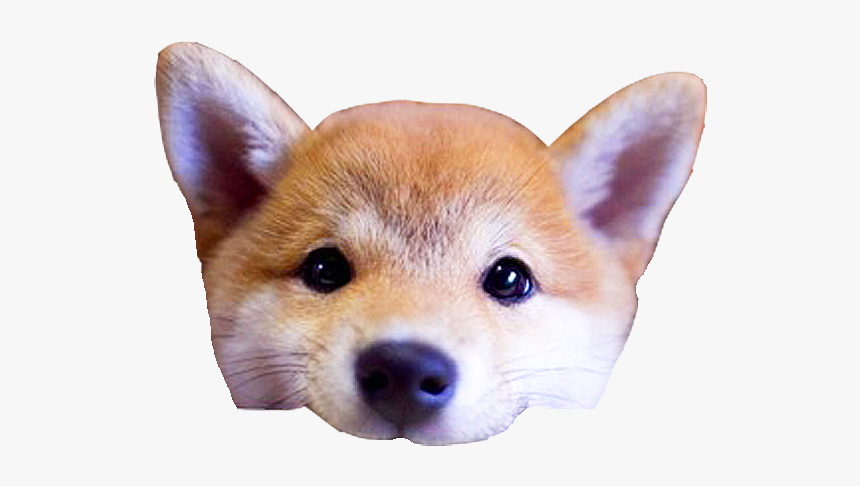 Clip Art Dog S Head By - Cute Dog Head Png, Transparent Png - kindpng