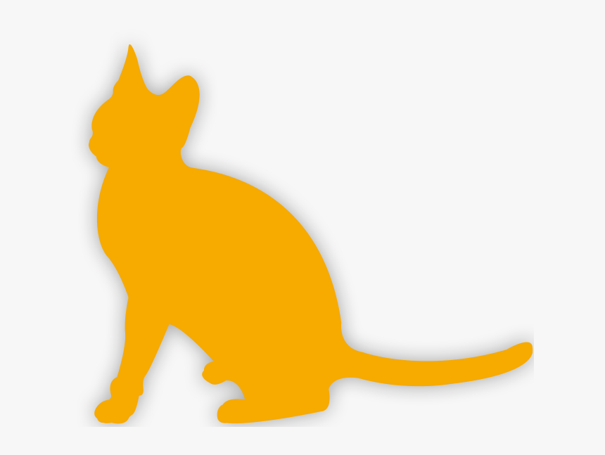 Cat Jumps, HD Png Download, Free Download