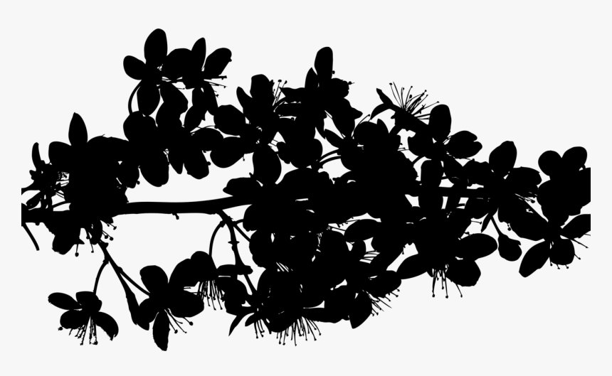 Botany,plant,flower, HD Png Download, Free Download