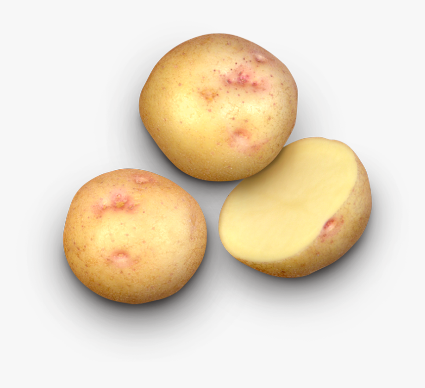 Yukon Gold Potato, HD Png Download, Free Download