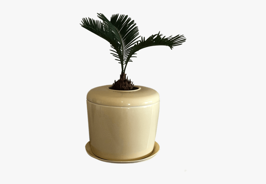 Flowerpot, HD Png Download, Free Download