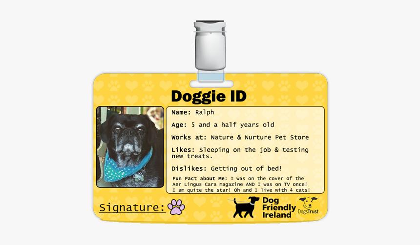 Dogs Trust, HD Png Download, Free Download