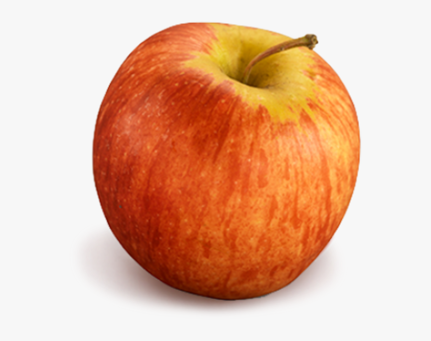 Apple Gala - แอ ป เปิ้ ล กา ล่า, HD Png Download, Free Download