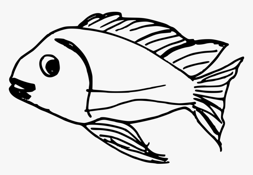 Fish Png For Drawing, Transparent Png, Free Download