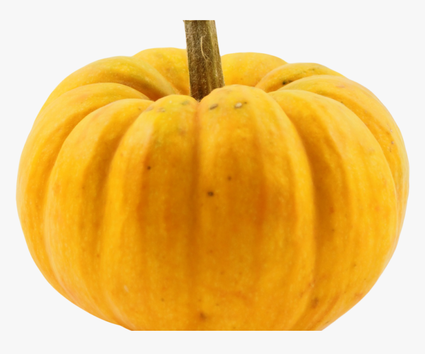 Squash Vegetable Png, Transparent Png, Free Download