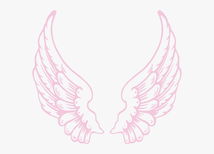 Pink Angel Wings Png, Transparent Png, Free Download