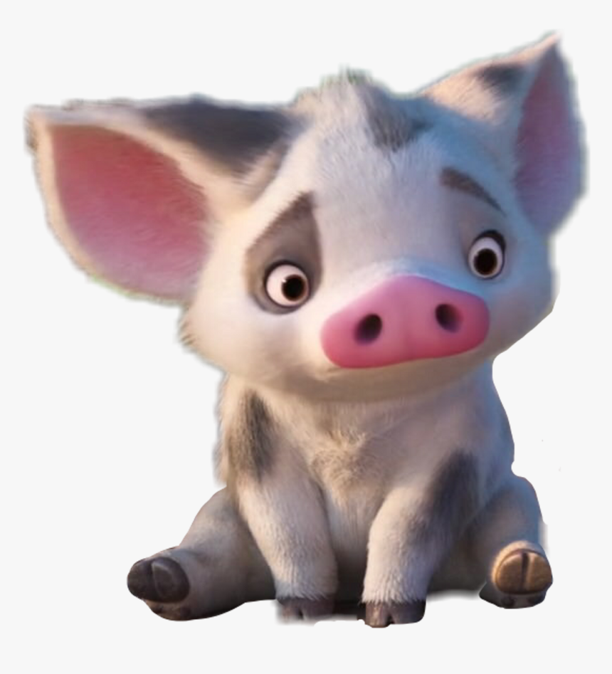 Pua Moana Png - Transparent Pua Moana Png, Png Download, Free Download