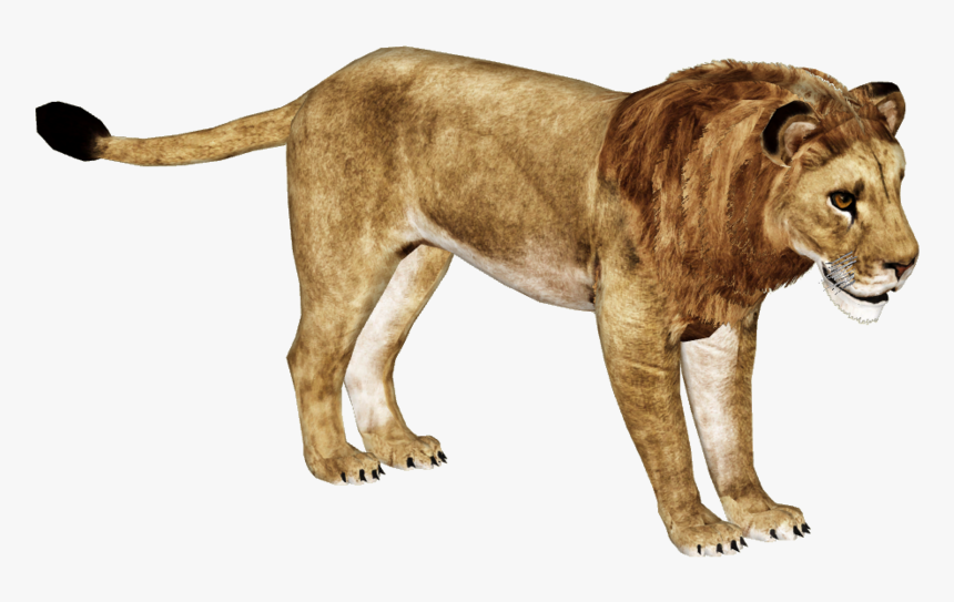 African Lion Png Hd - Zoo Tycoon 2 African Lion, Transparent Png, Free Download