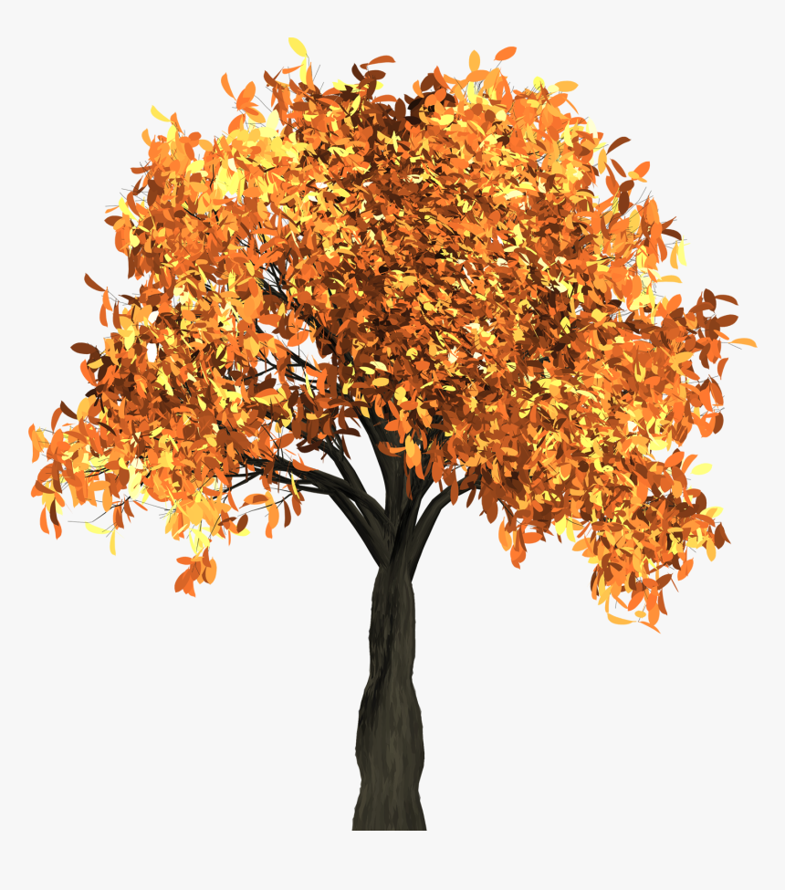 Autumn Tree Png Transparent Image - Transparent Autumn Tree Png, Png Download, Free Download