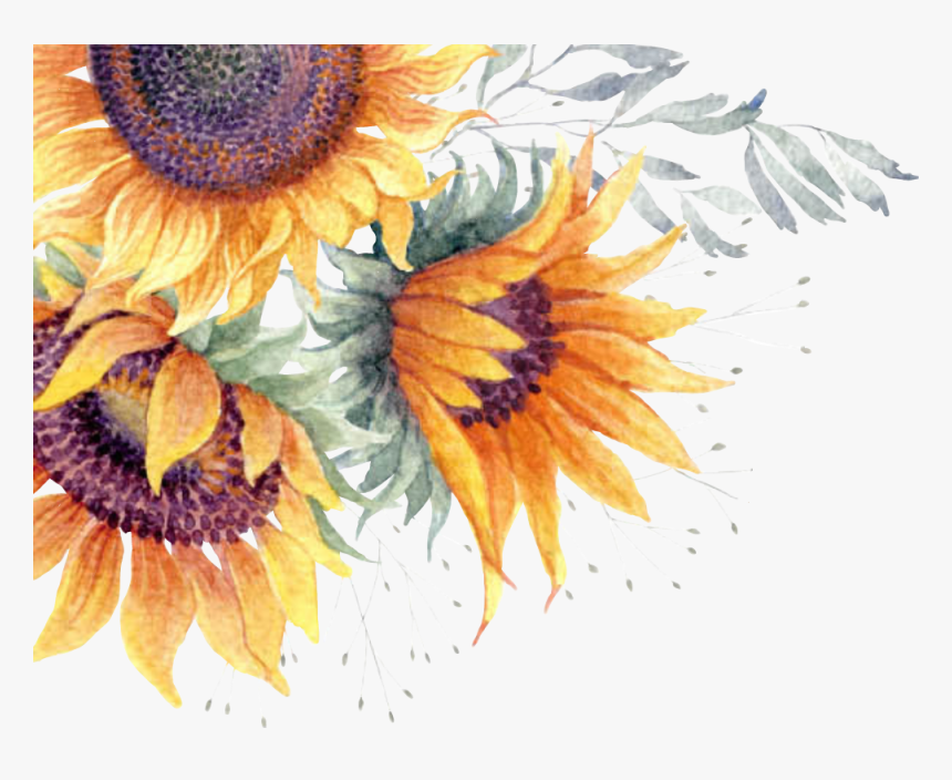 Watercolor Sunflower Clipart Free