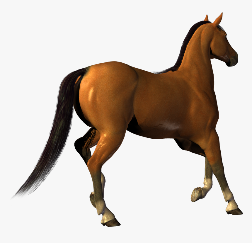 Horse Png Image, Free Download Picture, Transparent - Horses Png, Png Download, Free Download