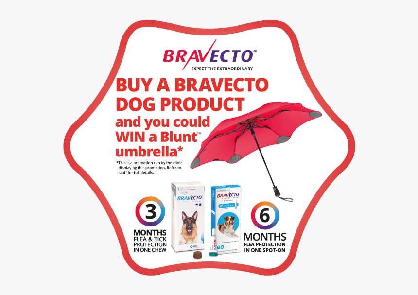 Bravecto, HD Png Download, Free Download