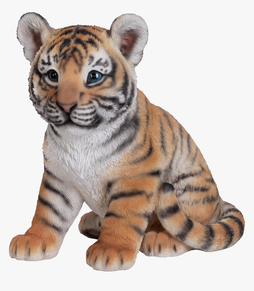 Tiger Cub Baby Triger Photo - Baby Tiger Sitting, HD Png Download, Free Download