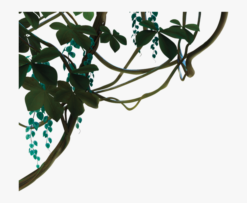 Transparent Vines Png - Jungle Vines Transparent Background, Png Download, Free Download