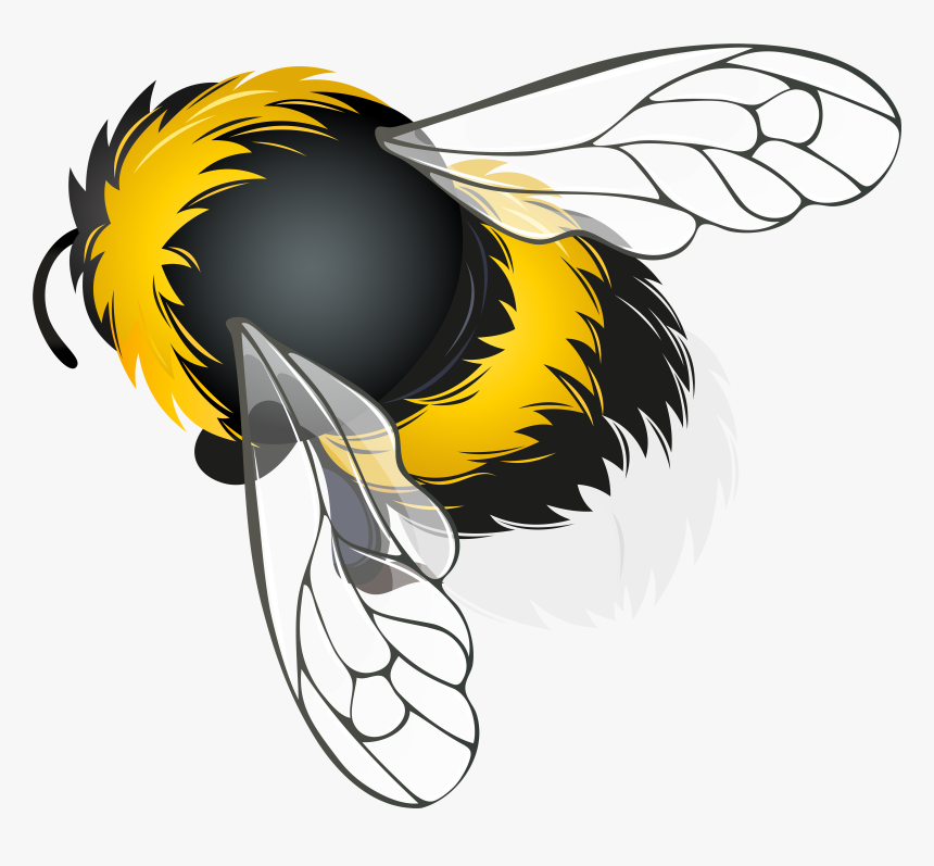 Bee Png Clipart - Clipart A Bee Cartoon Transparent, Png Download, Free Download