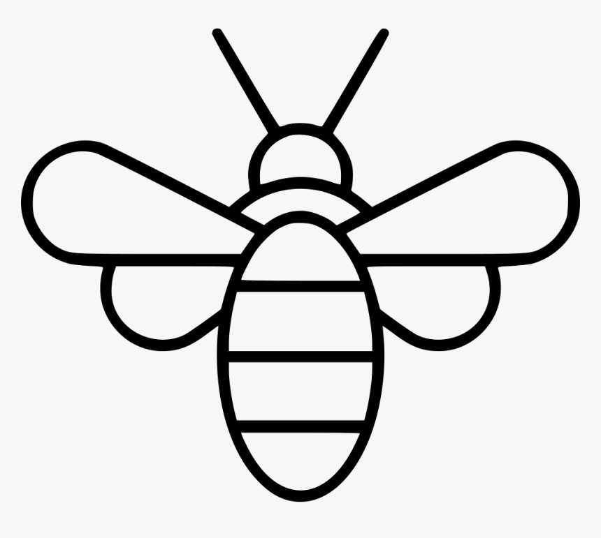 Bee, HD Png Download, Free Download