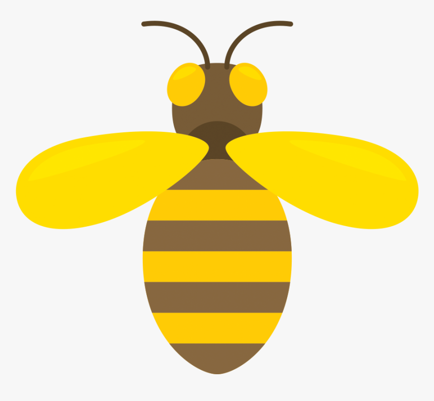 Honey Bee Infographic Png, Transparent Png, Free Download