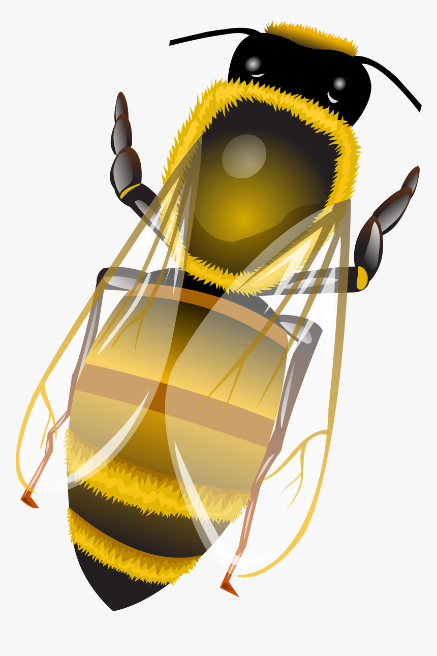 Bee Png Clip Art - Illustration, Transparent Png, Free Download