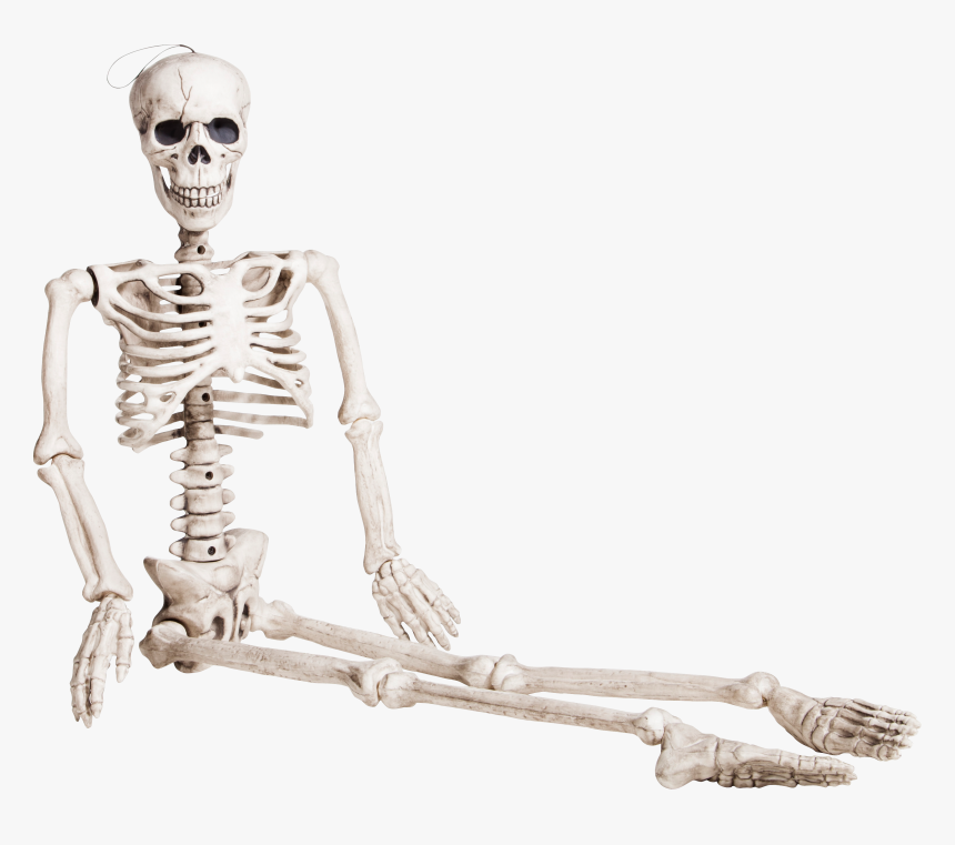 Skeleton Png - Sitting Skeleton Png, Transparent Png, Free Download