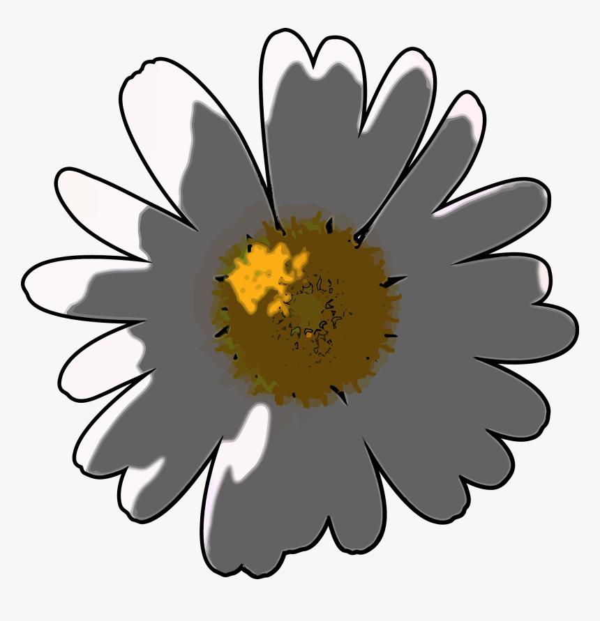 Camomile Flower Png Clipart - Daisy, Transparent Png, Free Download