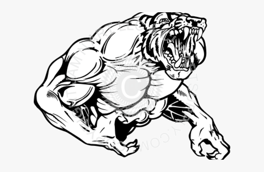 Tiger Clipart Muscle - Auburn Tigers Tiger Muscle Sketch, HD Png Download, Free Download