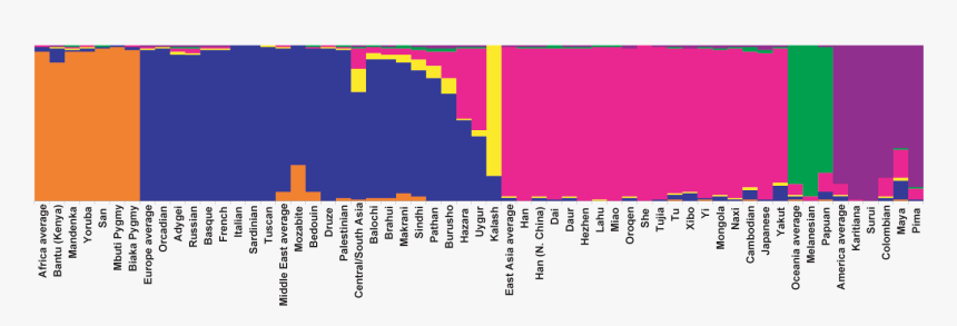 Thumbnail For Version As Of - Central Asian Genetics, HD Png Download, Free Download