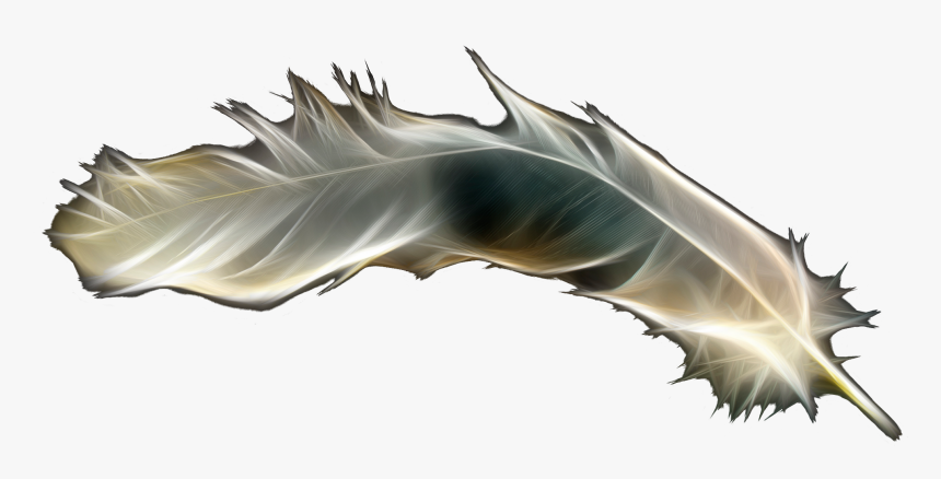 Transparent Gold Feather Png - Feather, Png Download, Free Download