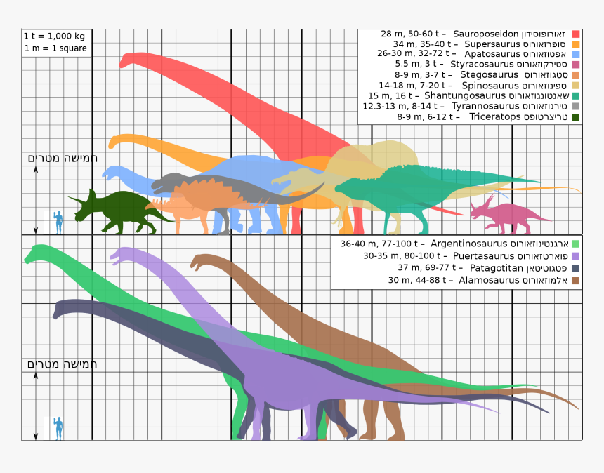 Biggest Dinosaurs Ver18 He - Patagotitan Size Comparison, HD Png Download, Free Download