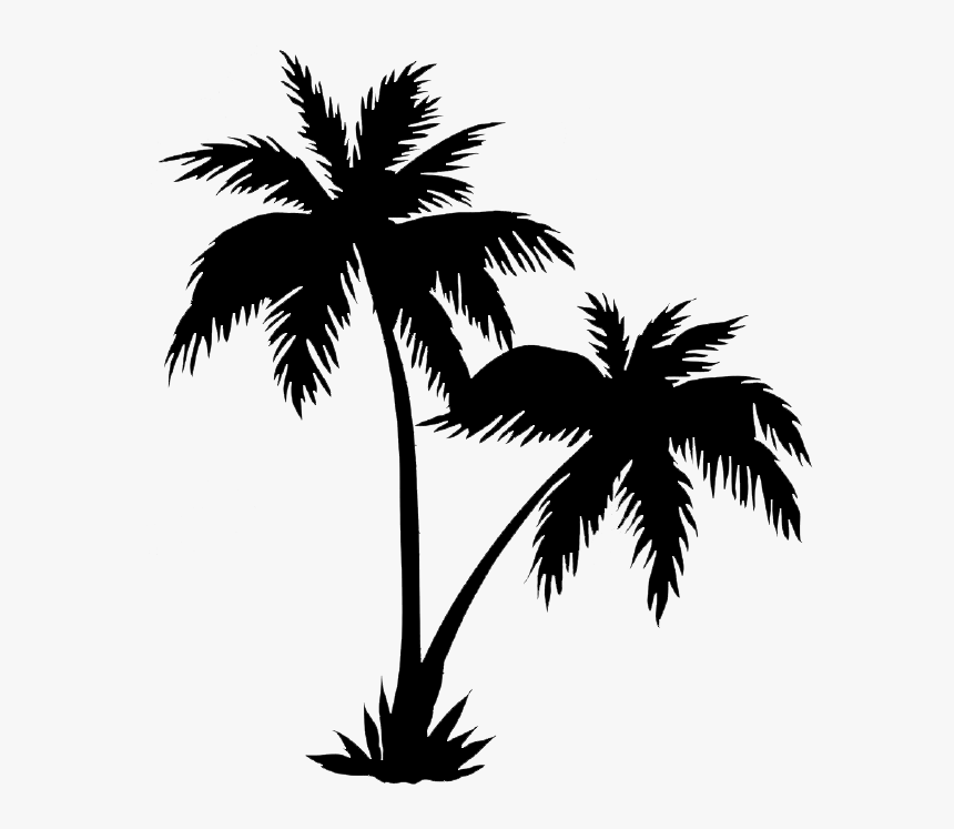 Palm Trees Png Black Realistic Palm Tree Drawings Transparent