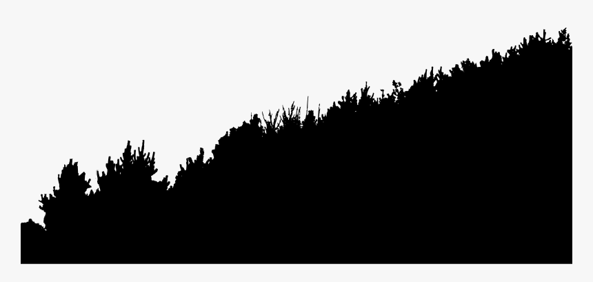 Silhouette Clipart Forest - Vegetation Silhouette, HD Png Download, Free Download