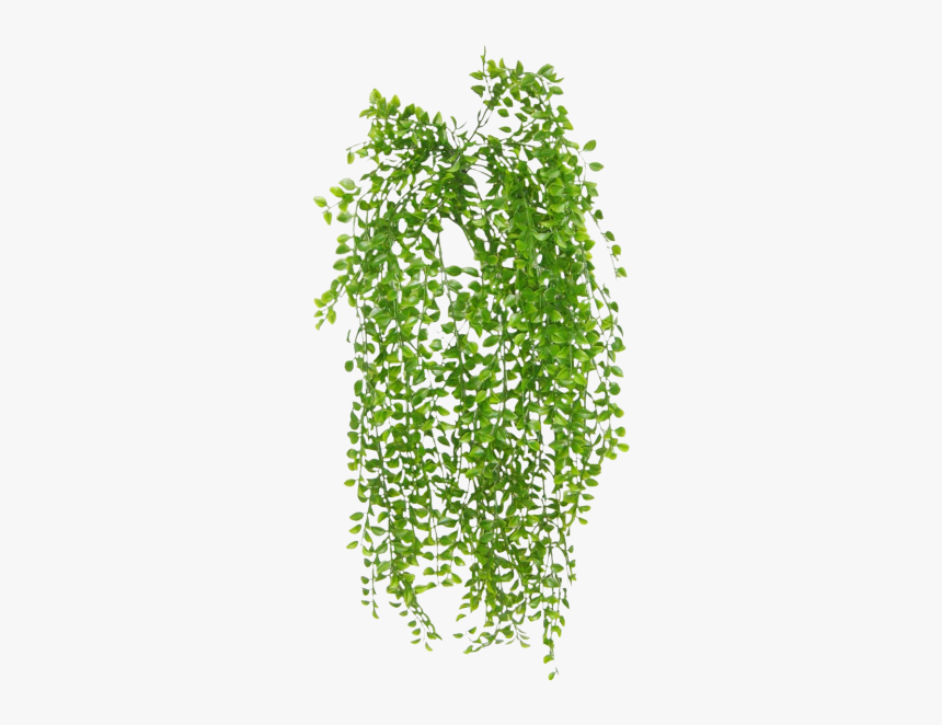 Grass, HD Png Download, Free Download