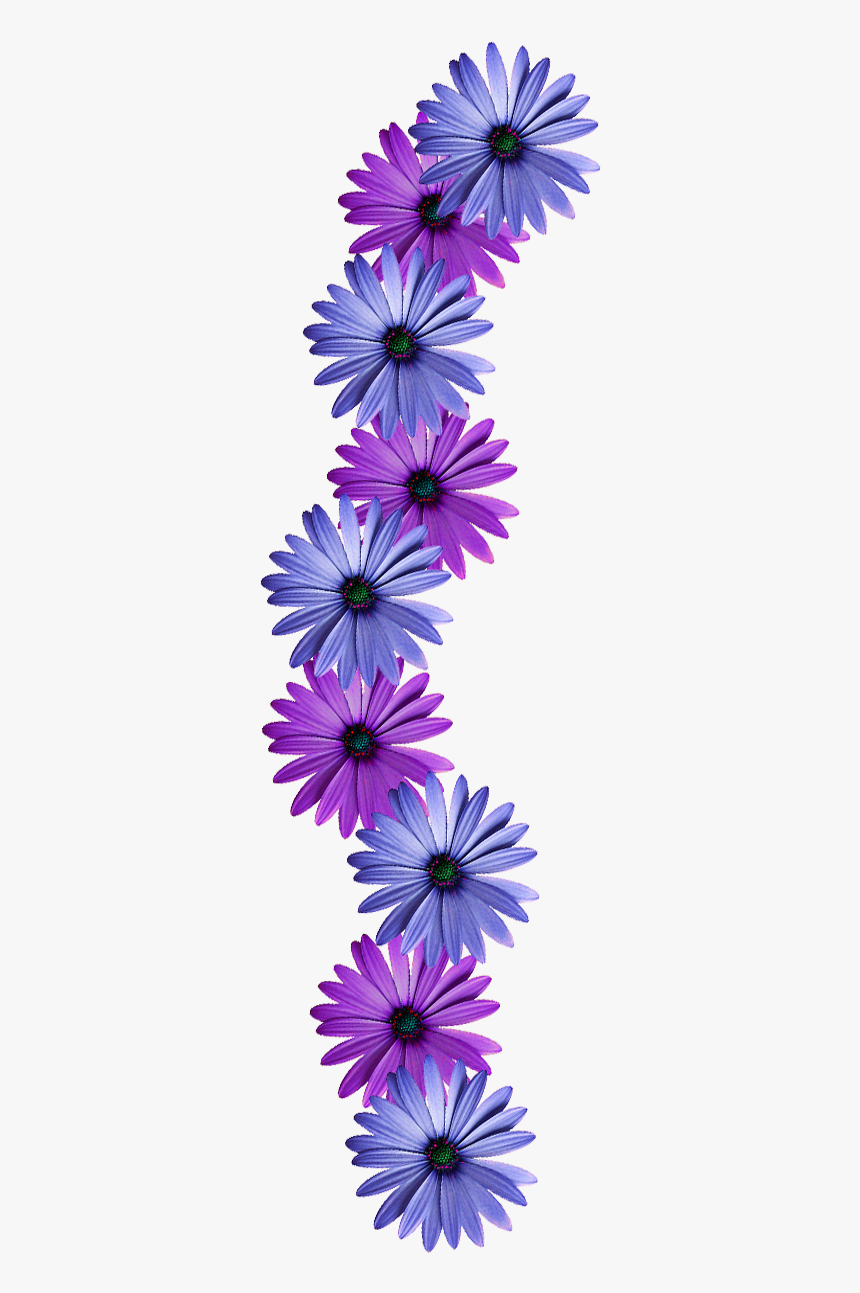 Flower Vine Png - Learning Thought Of The Day, Transparent Png, Free Download