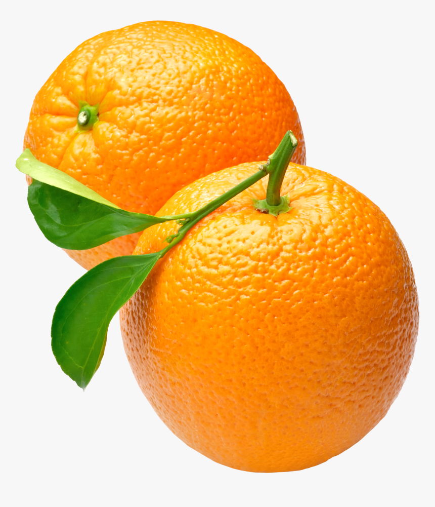 Orange Png Image, Free Download - Orange Png, Transparent Png, Free Download