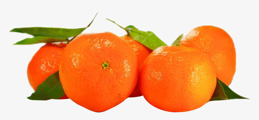 Orange Png - - Clementine Png, Transparent Png, Free Download