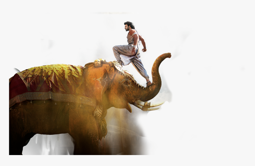 Transparent Indian Elephant Png - Jiyo Re Bahubali Song Download, Png Download, Free Download