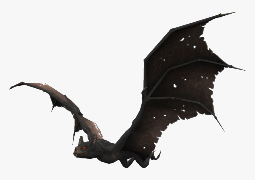 Transparent Vampire Bat Clipart - Giant Bat, HD Png Download, Free Download