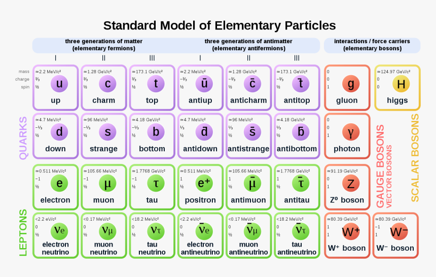 Standard Model Of Particle Physics, HD Png Download, Free Download