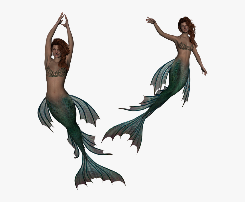 Mermaid Png - Siren Mermaid Png, Transparent Png, Free Download