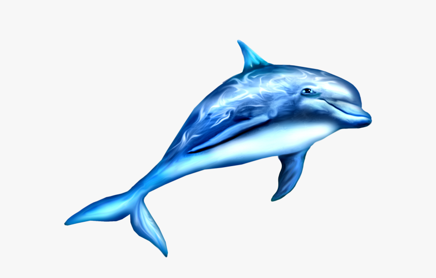 Dauphin Png, Transparent Png, Free Download