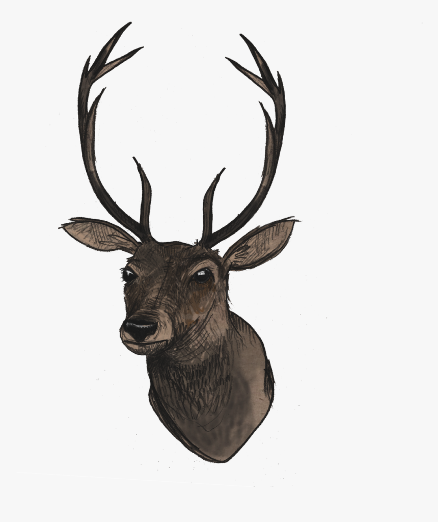 Transparent Deer Head Png, Png Download, Free Download